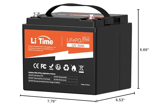 12V 100Ah LiFePO4 Battery with Built-in 100A BMS D2856