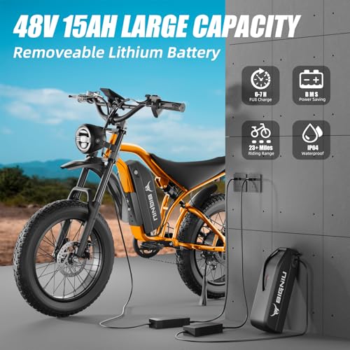 Electric Bike for Adults – 20" Fat Tire, 1200W Motor, 48V Battery, 7-Speed, Dual Disc Brakes D16418