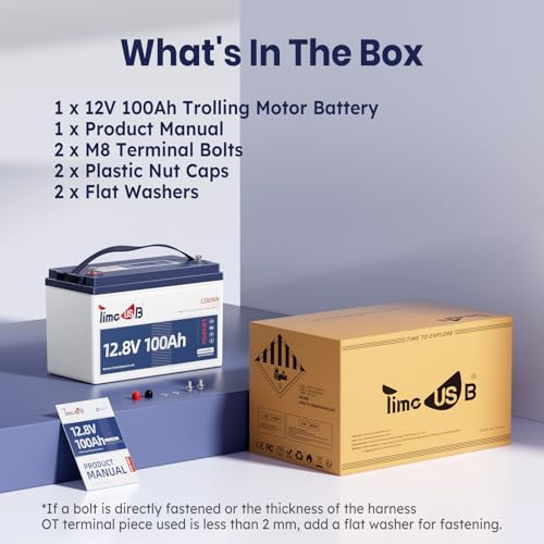 12V 100Ah LiFePO4 Marine Battery with Low-Temp Protection and 100A BMS J24276