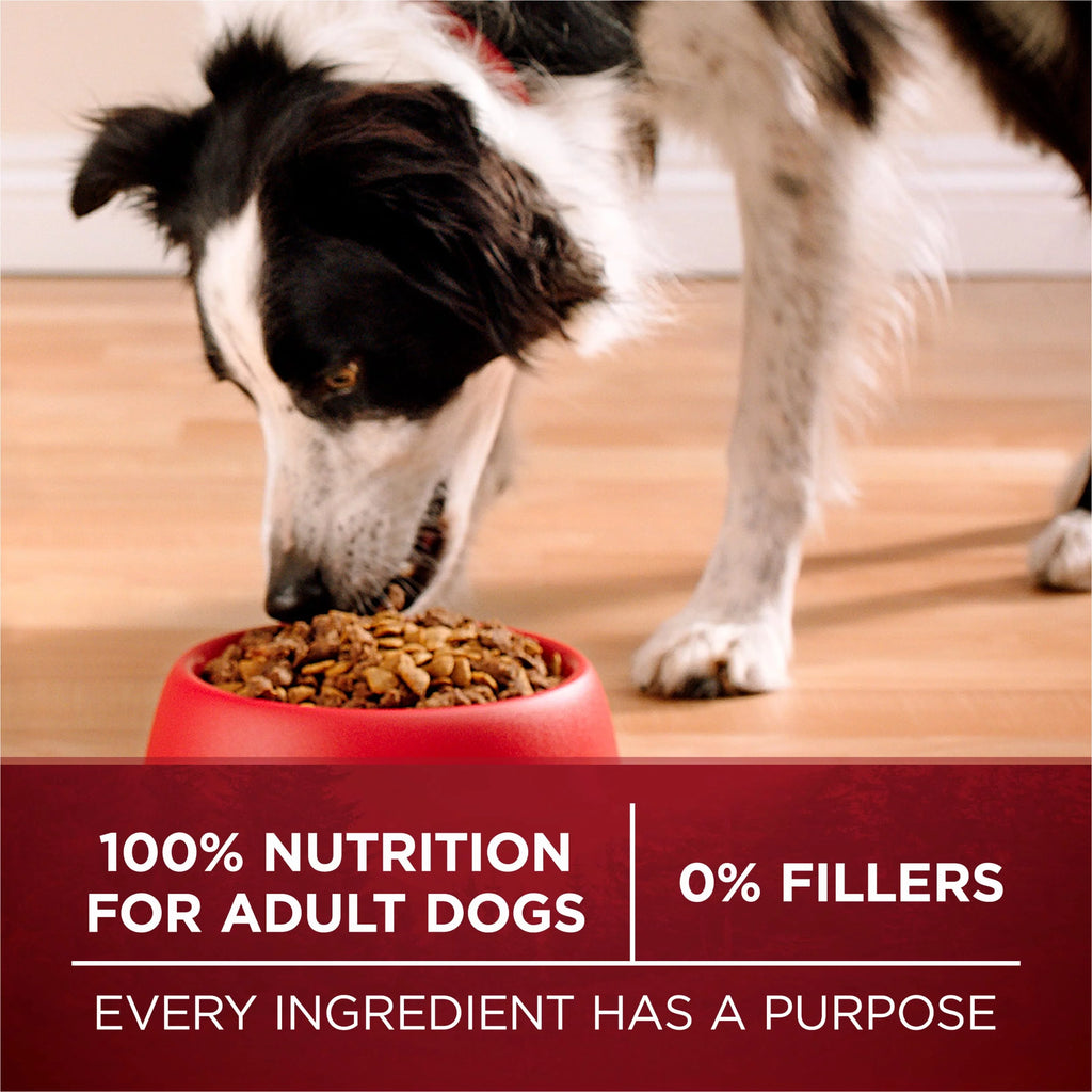 High Protein Dog Food with Real Beef and Salmon H4940