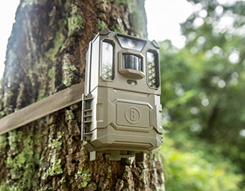 Trail Camera - 24MP, 1080p HD Video, Nighttime Capture F586