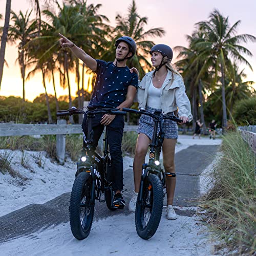 Folding Electric Bike for Adults, 1200W Peak Motor, 28MPH Max Speed, 48V 10AH Removable Battery, 20" Fat Tire M14323