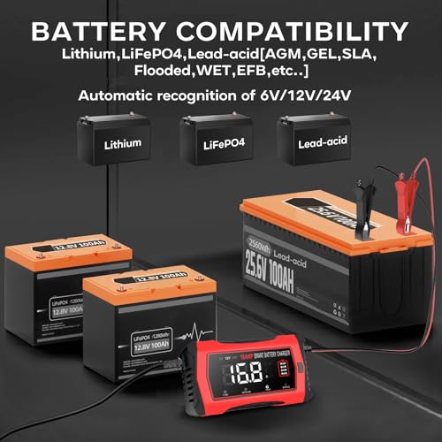 12V 24V 16-Amp Smart Battery Charger for Car Truck Boat Marine D264
