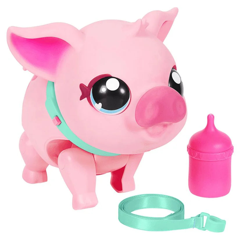 My Pet Pig K761854