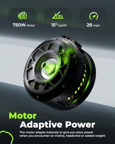 Electric Bike for Adults 750W 28mph with Removable Battery and Fat Tire W3858