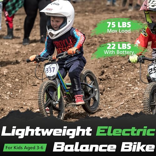 Electric Dirt Bike for Kids Aged 3-6, 170W Motor, 24V Battery, 12IN Tires J8048