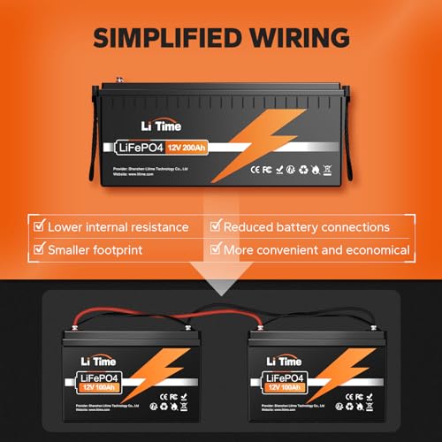 12V 100Ah LiFePO4 Battery with Built-in 100A BMS D2856