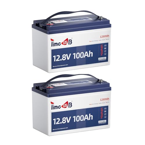 12V 100Ah LiFePO4 Marine Battery with Low-Temp Protection and 100A BMS J24276