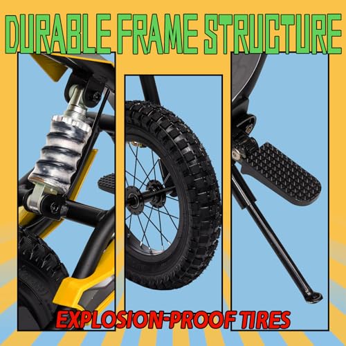 Electric Dirt Bike for Kids 8-14, 36V 350W, Off-Road Motorcycle I642