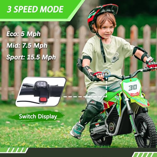 Electric Dirt Bike for Kids Aged 4-8, 350W Brushless Motor, 14'' Off-Road Tires, Blue Y255
