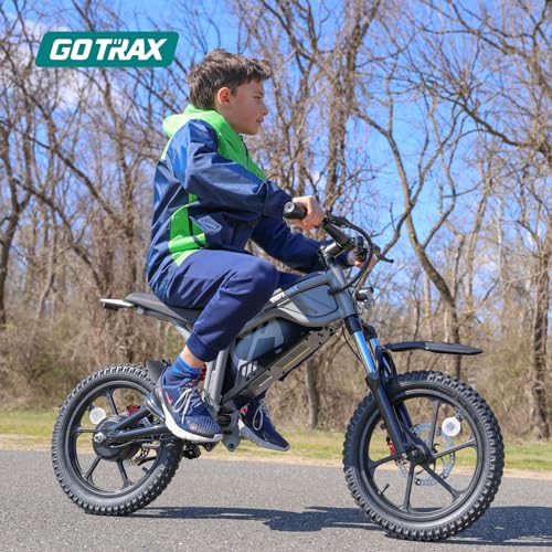 Electric Dirt Bike, 16" Pneumatic Tires, Dual Suspension & Disc Brake Y95584