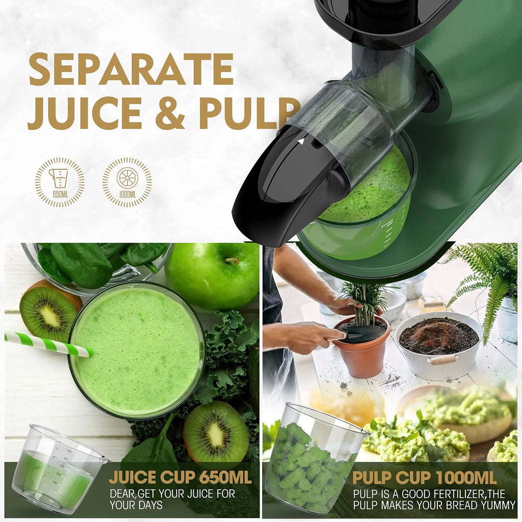 Slow Masticating Juicer for Vegetables and Fruits, Cold Press Extractor I446