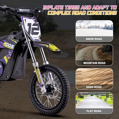 Electric Dirt Bike 36V 1000W Purple C585677