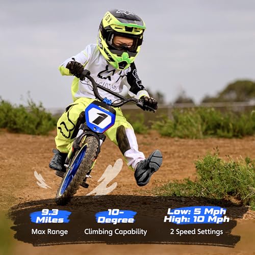 Electric Dirt Bike for Kids Aged 3-6, 170W Motor, 24V Battery, 12IN Tires J8048