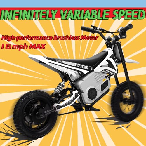 Electric Dirt Bike for Kids 8-14, 36V 350W, Off-Road Motorcycle I642