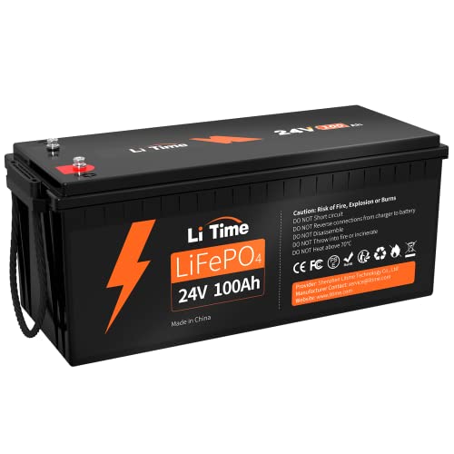 12V 100Ah LiFePO4 Battery with Built-in 100A BMS D2856