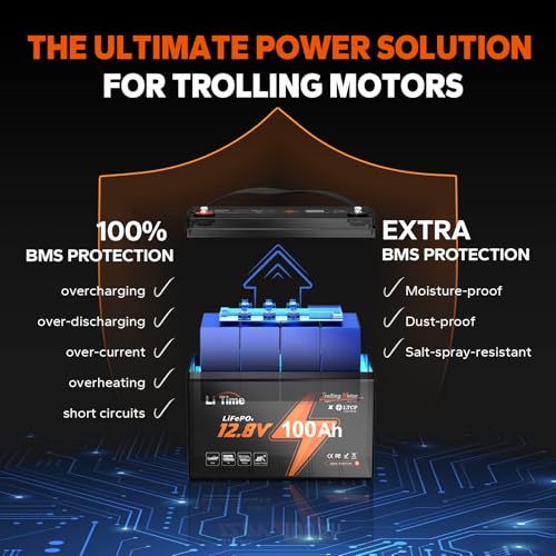 12V 100Ah LiFePO4 Battery with Built-in 100A BMS D2856