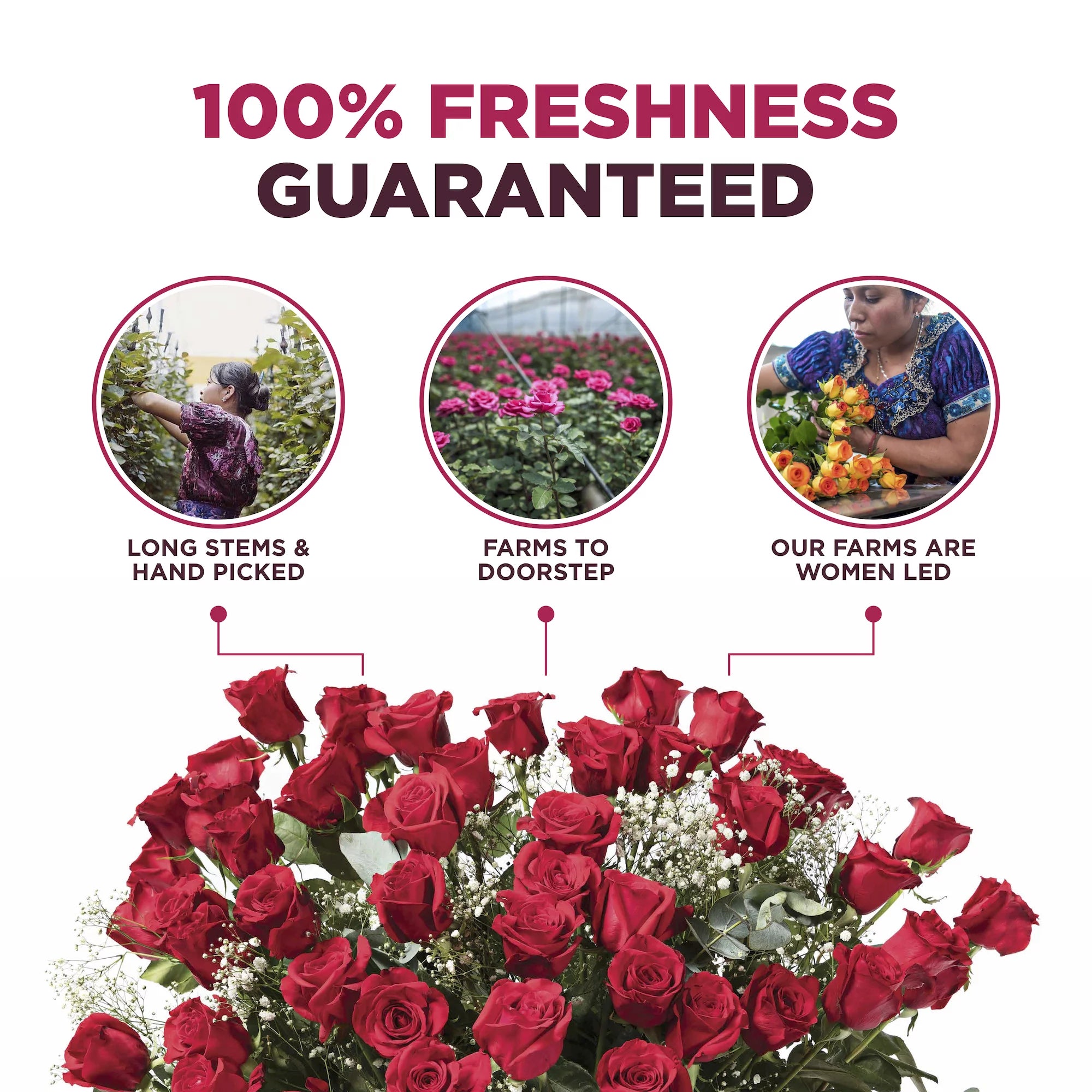 Fresh Cut Roses Bouquet for Delivery, Birthday Gift for Women M6014