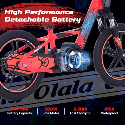 Electric Dirt Bike for Kids Aged 3-6, 170W Motor, 24V Battery, 12IN Tires J8048