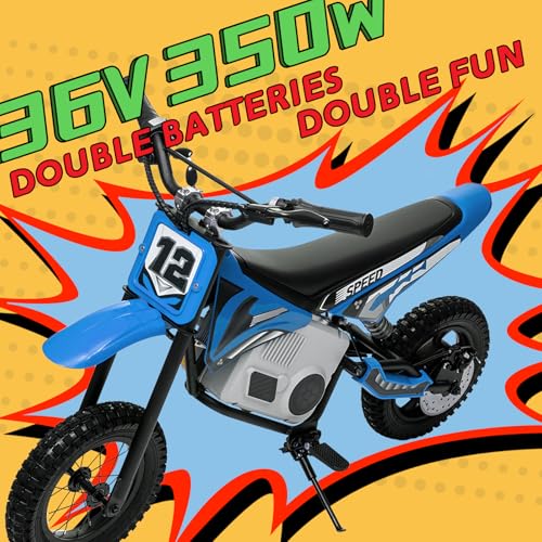 Electric Dirt Bike for Kids 8-14, 36V 350W, Off-Road Motorcycle I642