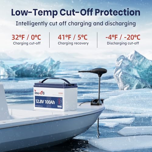 12V 100Ah LiFePO4 Marine Battery with Low-Temp Protection and 100A BMS J24276