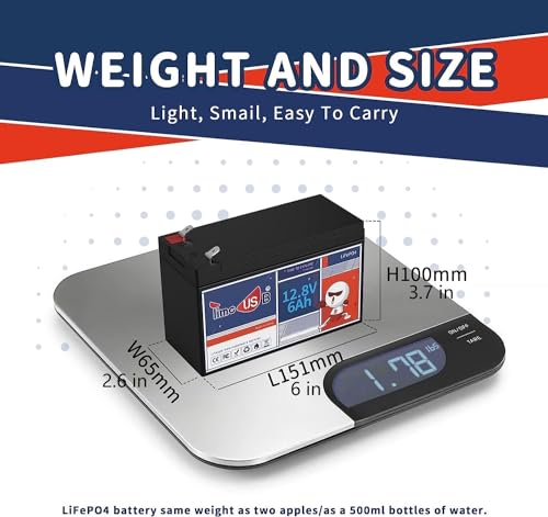12V 100Ah LiFePO4 Marine Battery with Low-Temp Protection and 100A BMS J24276