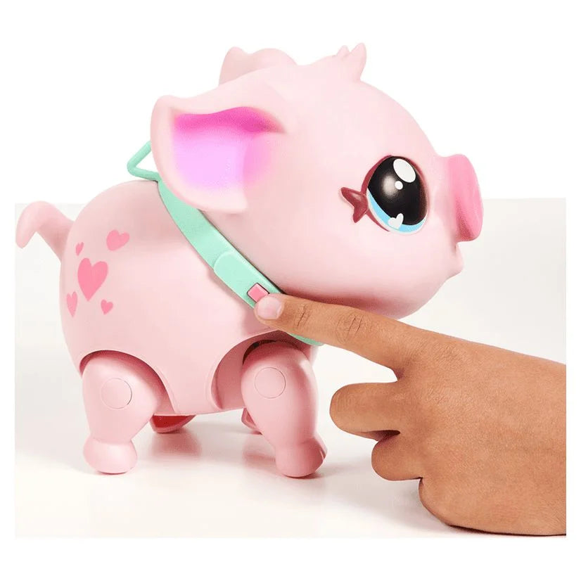 My Pet Pig K761854