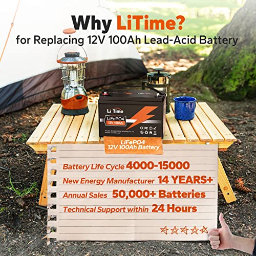 12V 100Ah LiFePO4 Battery with Built-in 100A BMS D2856