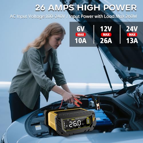 12V 24V 16-Amp Smart Battery Charger for Car Truck Boat Marine D264