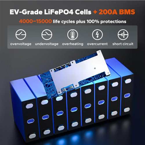 12V 100Ah LiFePO4 Battery with Built-in 100A BMS D2856