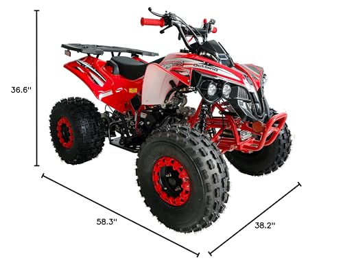 125cc ATV Fully Automatic with Reverse Double Headlights LED Gas 4 Wheeler U53754