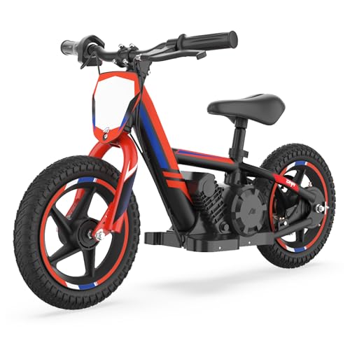Electric Dirt Bike for Kids Aged 3-6, 170W Motor, 24V Battery, 12IN Tires J8048