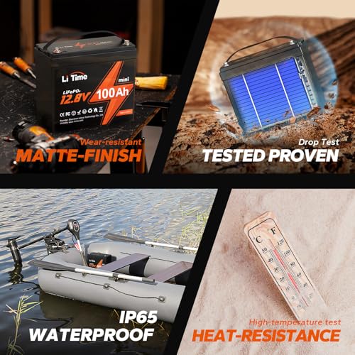 12V 100Ah LiFePO4 Battery with Built-in 100A BMS D2856