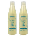 Salerm 21 B5 2 Piece Silk Protein  8.6 Ounce Pack of Two""