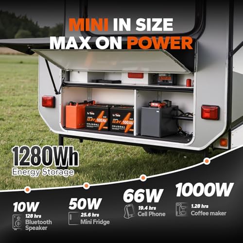 12V 100Ah LiFePO4 Battery with Built-in 100A BMS D2856