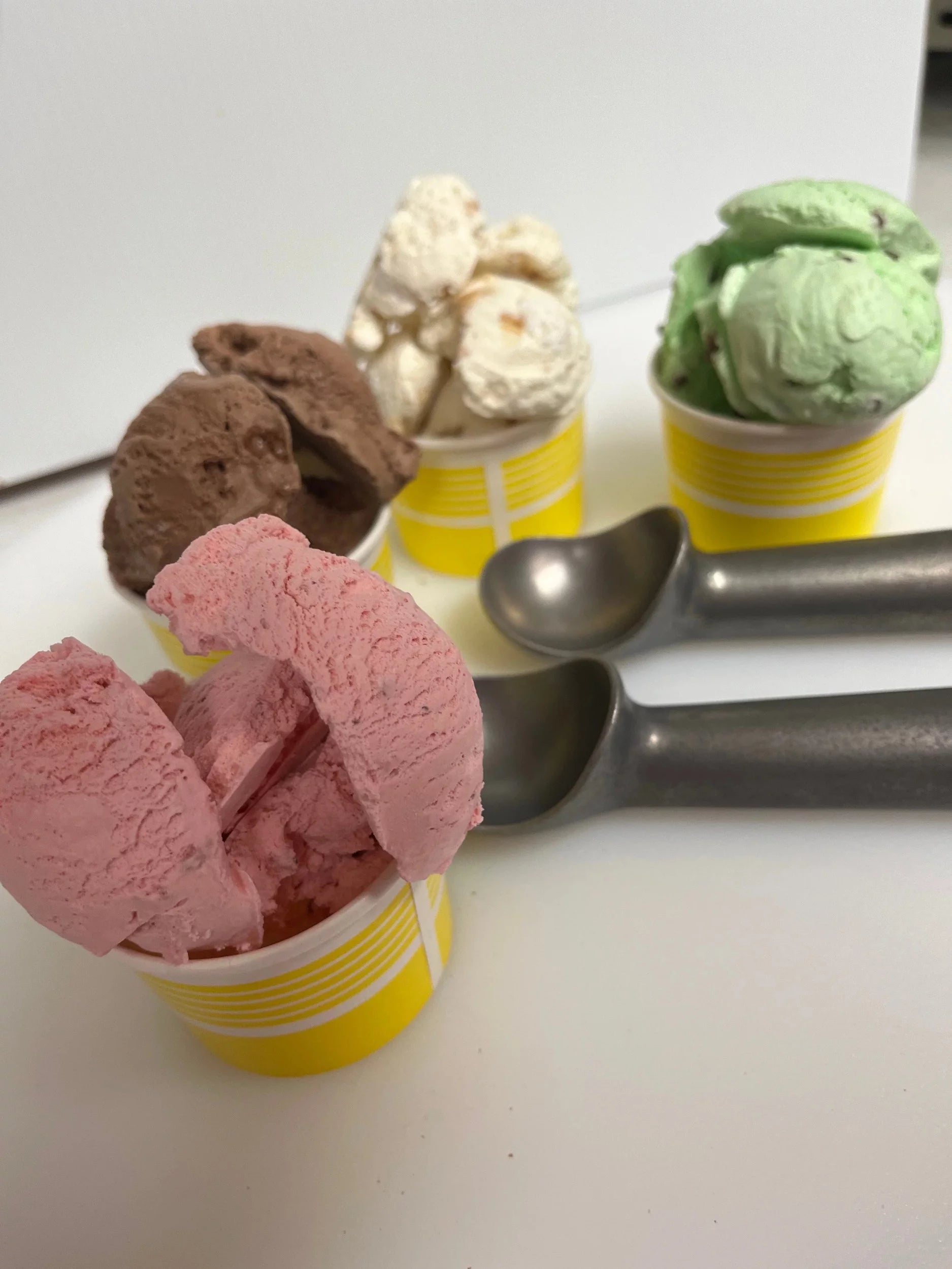 Freeze Dried Ice Cream Variety Pack, 5 Count A3859