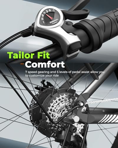 Electric Bike for Adults 750W 28mph with Removable Battery and Fat Tire W3858