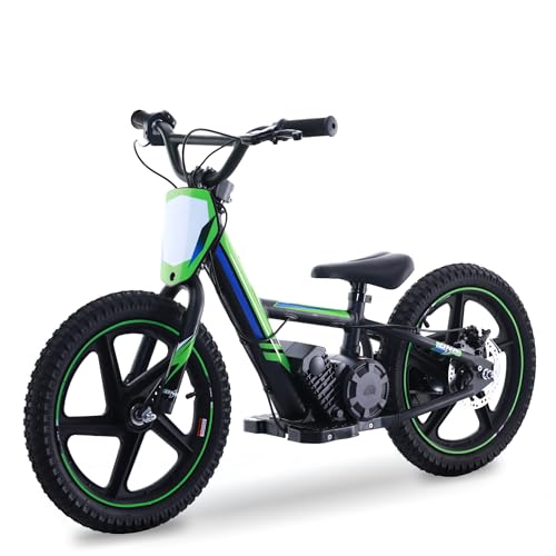 Electric Dirt Bike for Kids Aged 3-6, 170W Motor, 24V Battery, 12IN Tires J8048