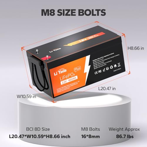 12V 100Ah LiFePO4 Battery with Built-in 100A BMS D2856