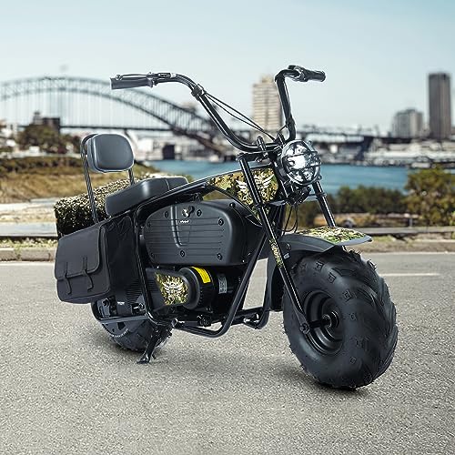 Electric Mini Bike for Kids, 36V Battery, 1000W Motor, 2 Speeds S644