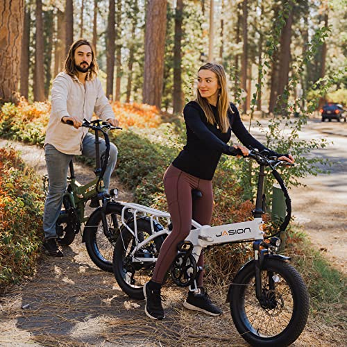 Folding Electric Bike for Adults, 1200W Peak Motor, 28MPH Max Speed, 48V 10AH Removable Battery, 20" Fat Tire M14323
