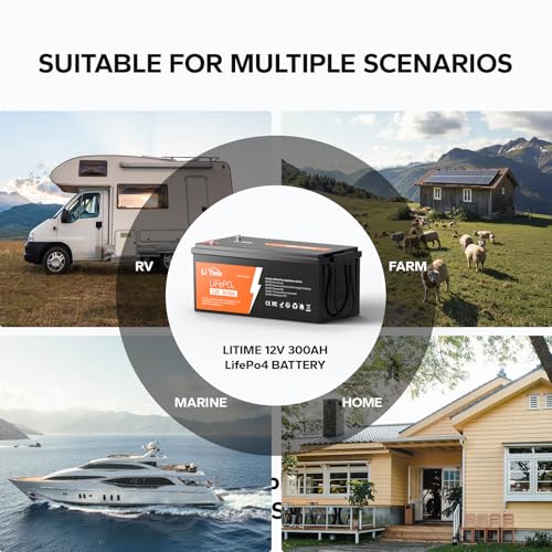 12V 100Ah LiFePO4 Battery with Built-in 100A BMS D2856