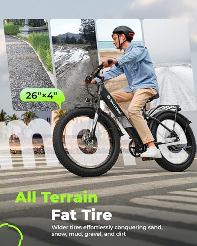 Electric Bike for Adults 750W 28mph with Removable Battery and Fat Tire W3858