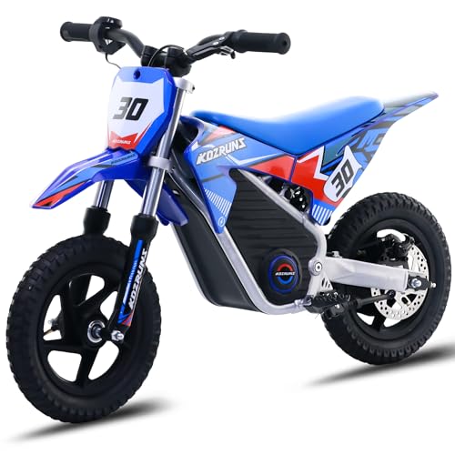 Electric Dirt Bike for Kids Aged 4-8, 350W Brushless Motor, 14'' Off-Road Tires, Blue Y255