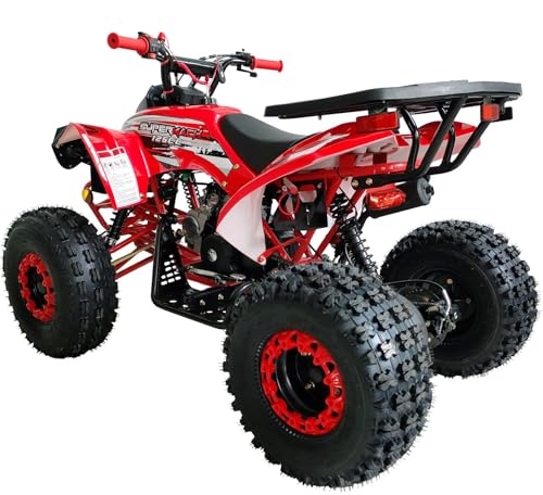 125cc ATV Fully Automatic with Reverse Double Headlights LED Gas 4 Wheeler U53754