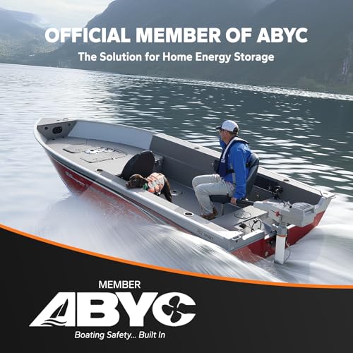 12V 100Ah LiFePO4 Battery with Built-in 100A BMS D2856