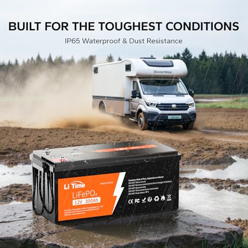 12V 100Ah LiFePO4 Battery with Built-in 100A BMS D2856