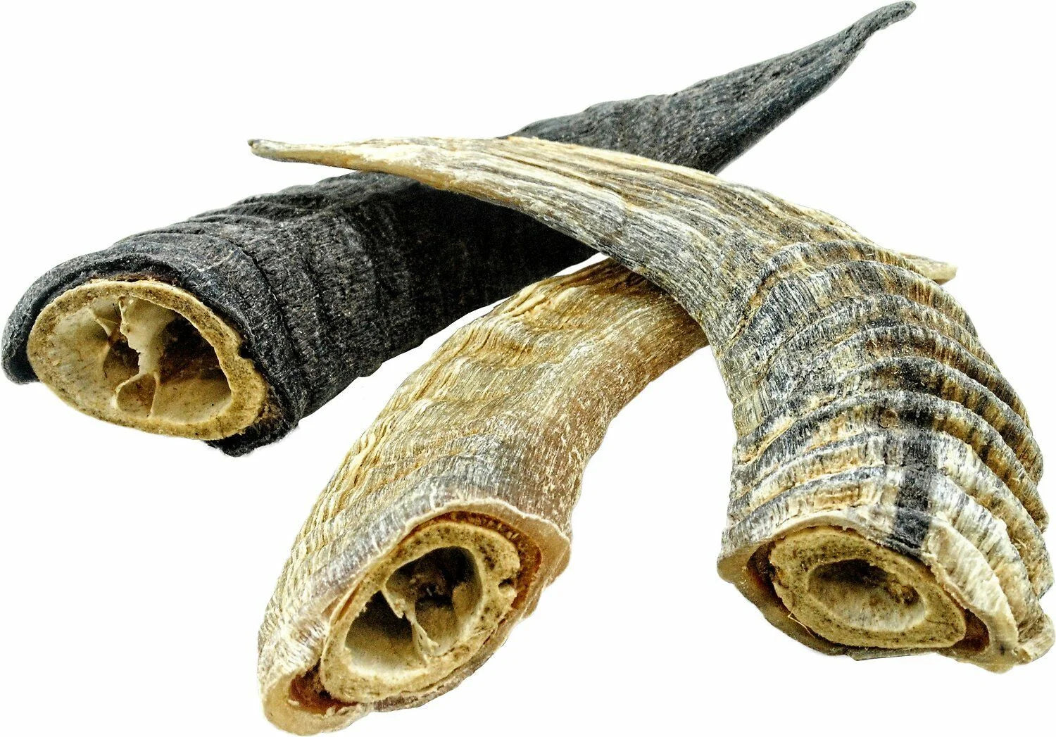 Lamb Horn Dog Chew, Assorted Sizes R683