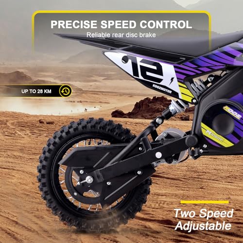 Electric Dirt Bike 36V 1000W Purple C585677
