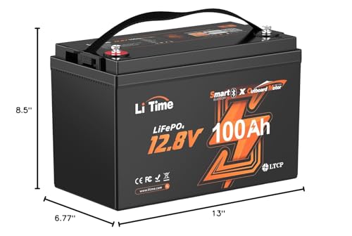 12V 100Ah LiFePO4 Battery with Built-in 100A BMS D2856